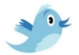 Follow us on Twitter