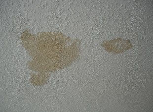 mobil home ceiling 2